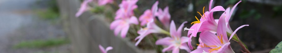 九州大学教授ストラテジー論研究室