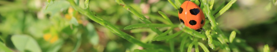 九州大学教授ストラテジー論研究室